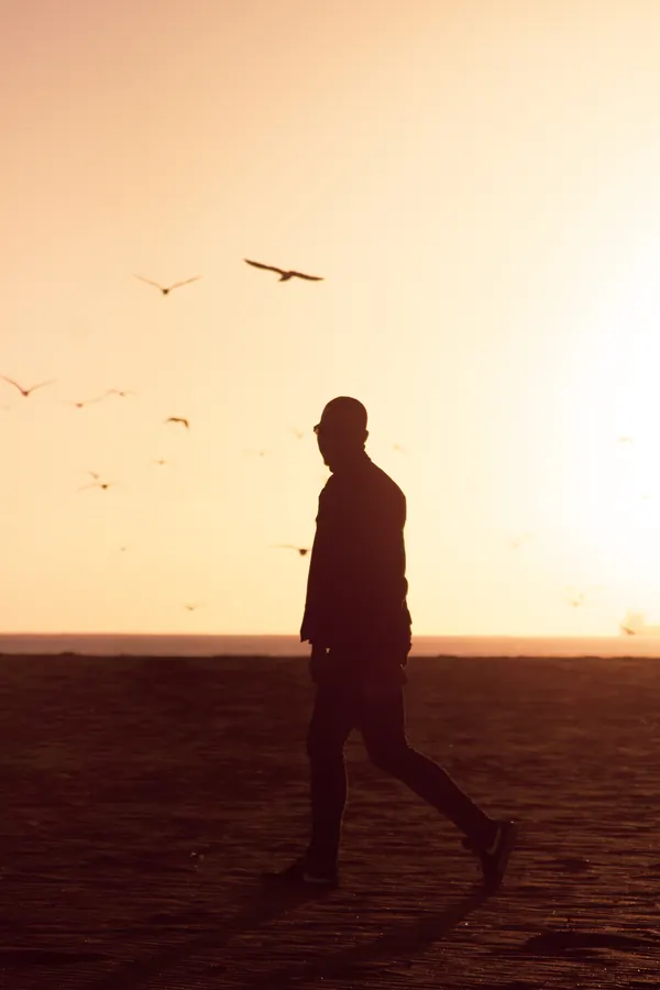 Silhouette of a man walking on the beach at sunset with gulls overhead